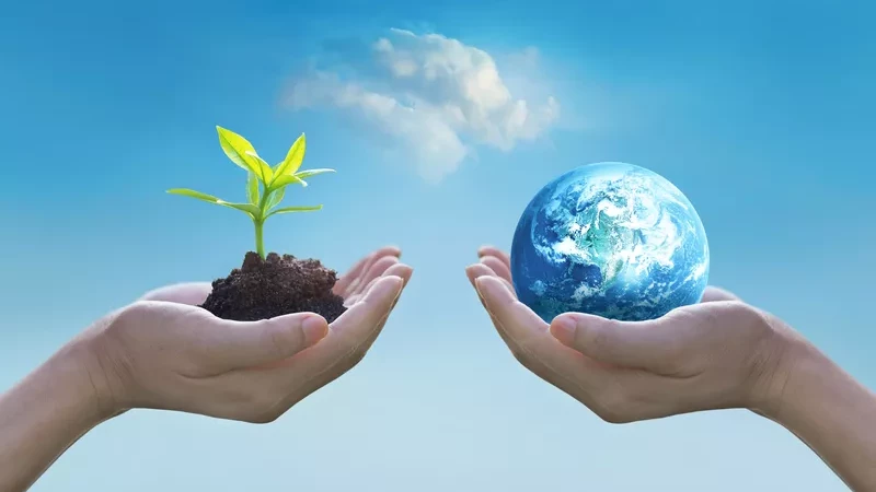 Giugno 2021 è il mese dedicato all'ambiente. Quest'anno abbiamo organizzato una simpatica gita a zero emissioni nelle valli di Comacchio.